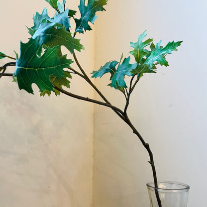 Green Oak Branch