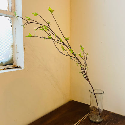 Budding Willow Branch