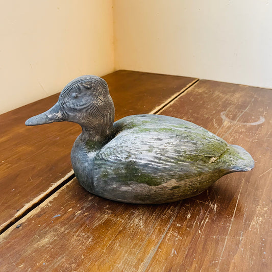 Bufflehead Ceramic Duck- Vintage