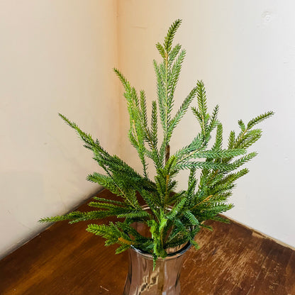 Norway Spruce Pick