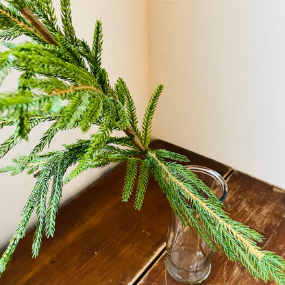 Norway Spruce Spray