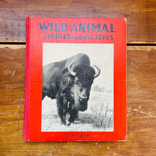 Wild Animal Stories & Pictures Book- Vintage