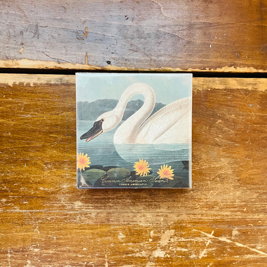 The Common American Swan Safety Matches