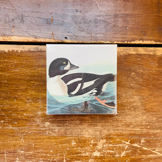 The Golden-eye Duck by Audubon Matchbox