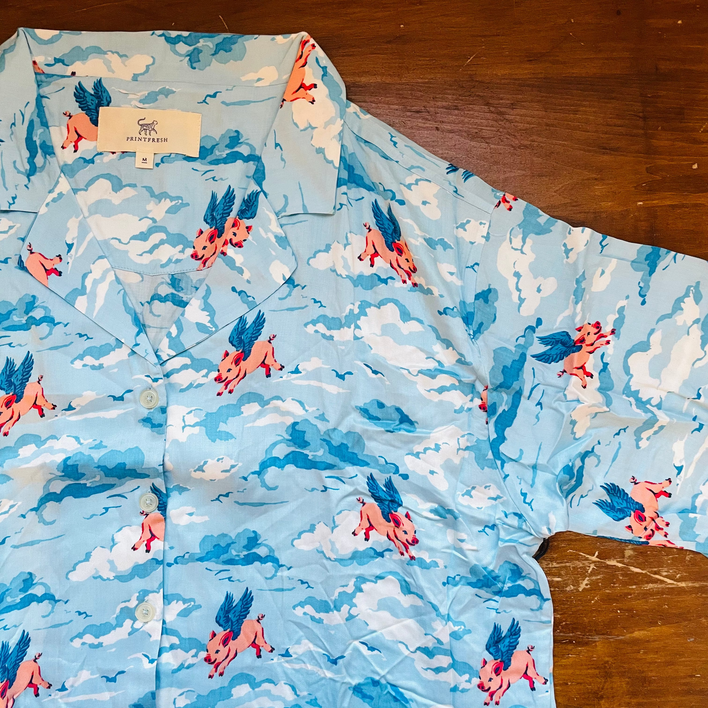 When Pigs Fly Satin Wildest Dreams Long PJ Set