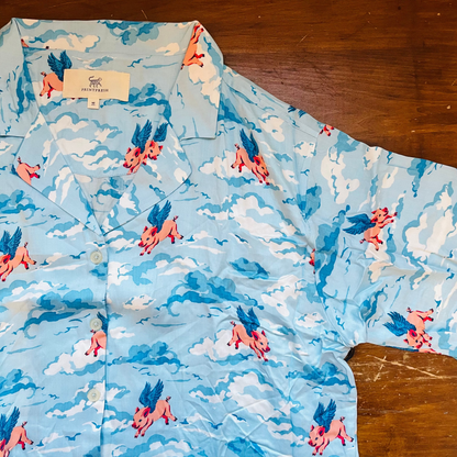 When Pigs Fly Satin Wildest Dreams Long PJ Set