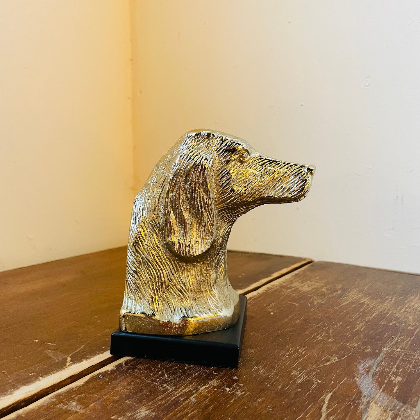 Distinguished Dog Bust