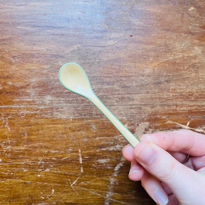 Enameled Salt Spoon with Colored Edge