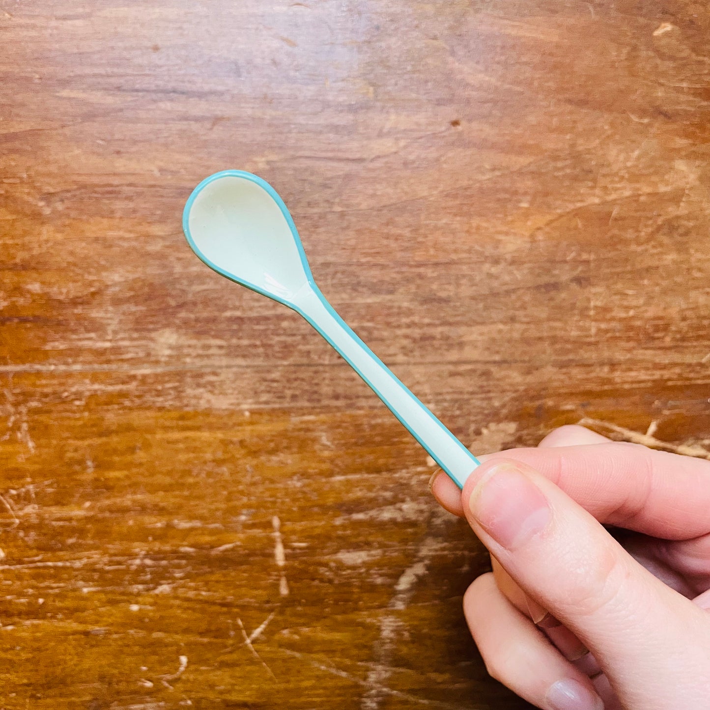 Enameled Salt Spoon with Colored Edge