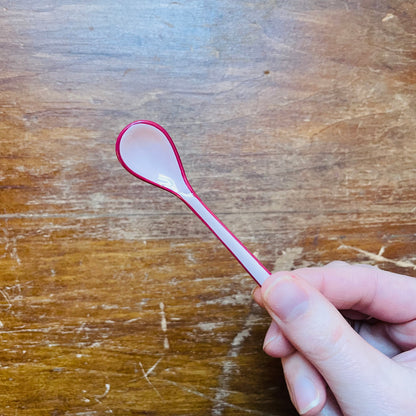 Enameled Salt Spoon with Colored Edge