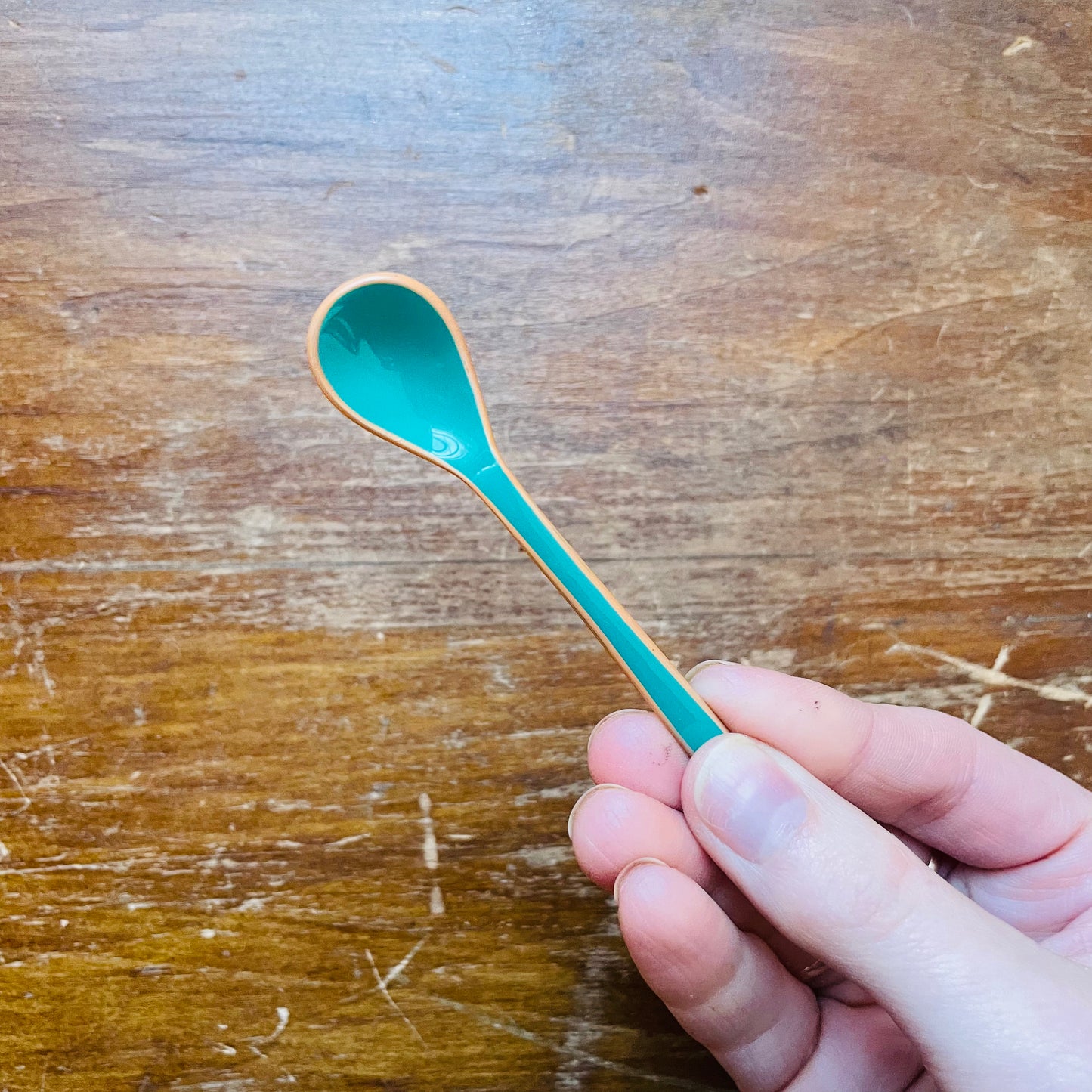 Enameled Salt Spoon with Colored Edge