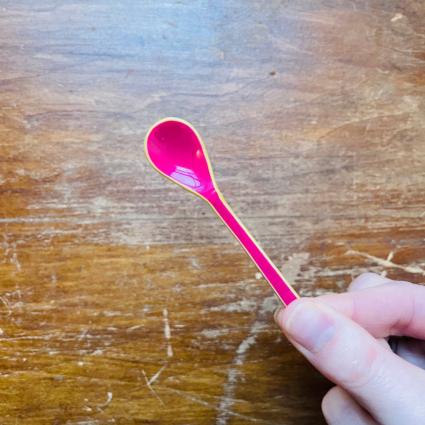 Enameled Salt Spoon with Colored Edge