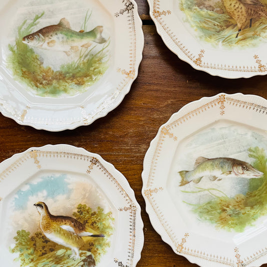 Gamebird & Fish Plates- Vintage