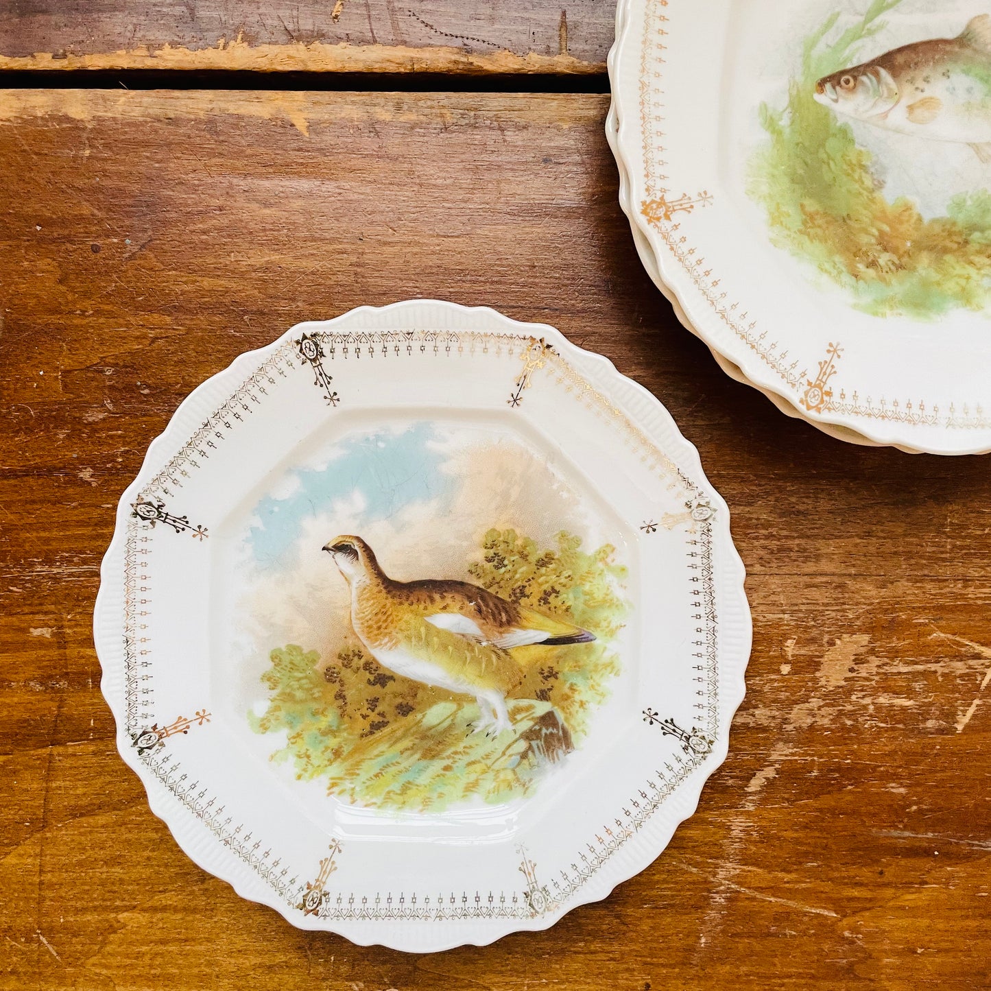 Gamebird & Fish Plates- Vintage