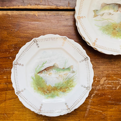 Gamebird & Fish Plates- Vintage