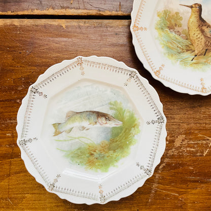 Gamebird & Fish Plates- Vintage