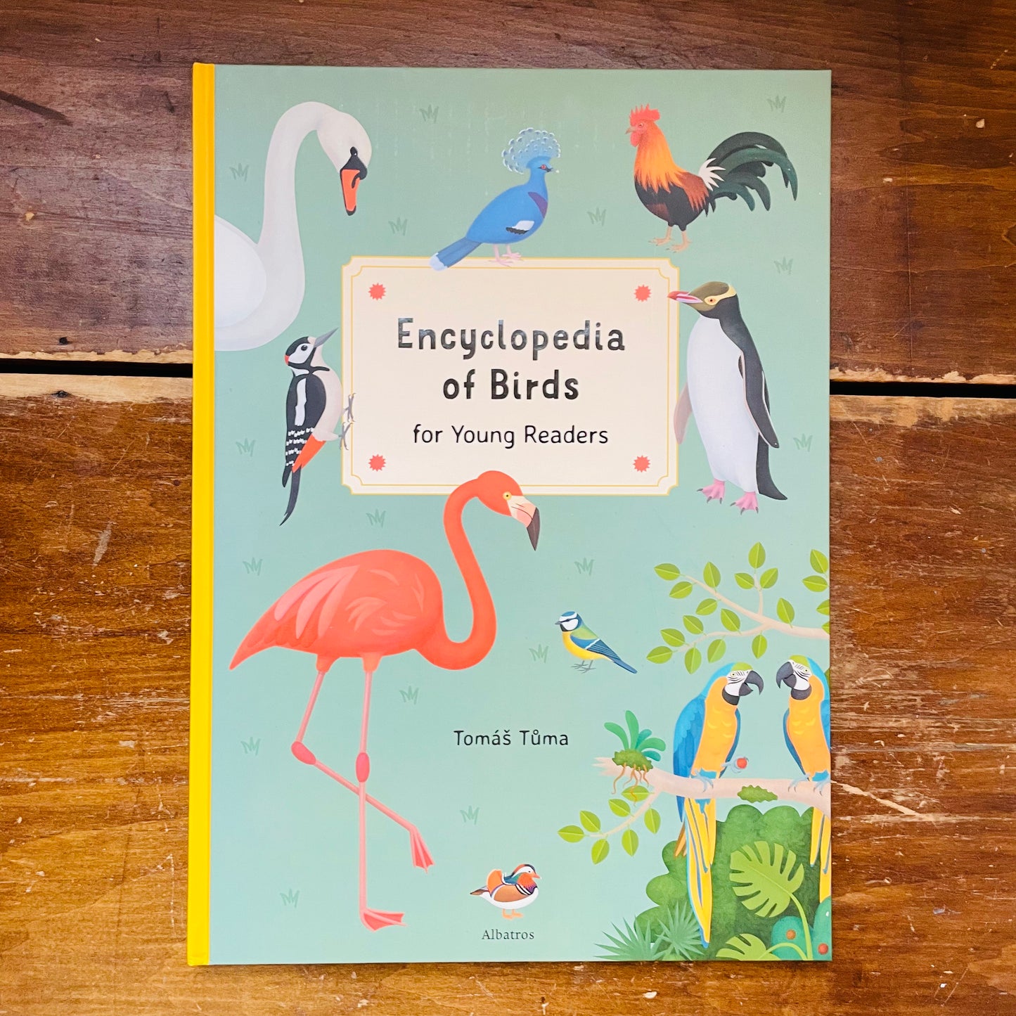 Encyclopedia of Birds for Young Readers: for Young Readers
