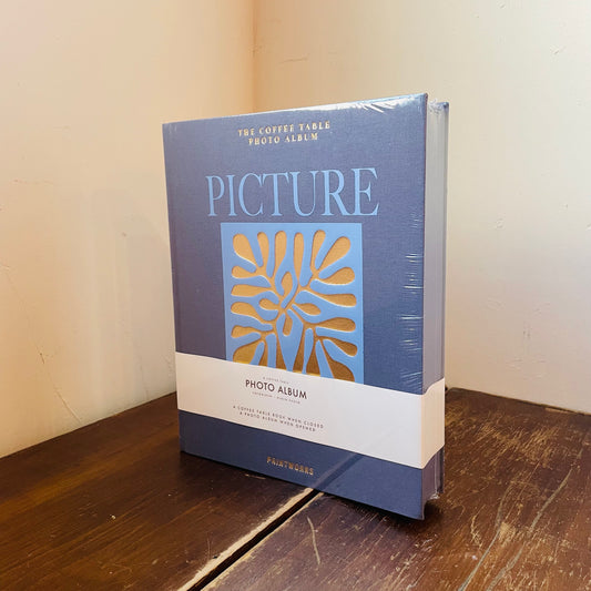 Blue Picture Perfect Photo Album