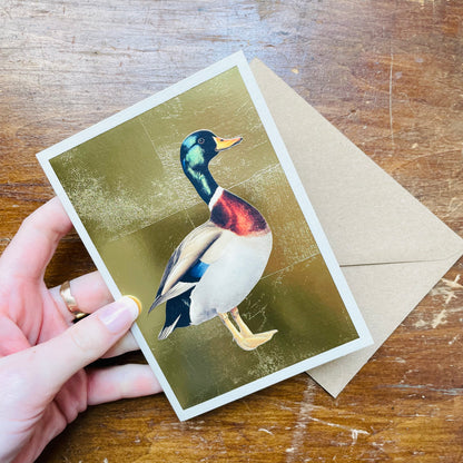 Mallard Drake Gold Leaf Greeting Card