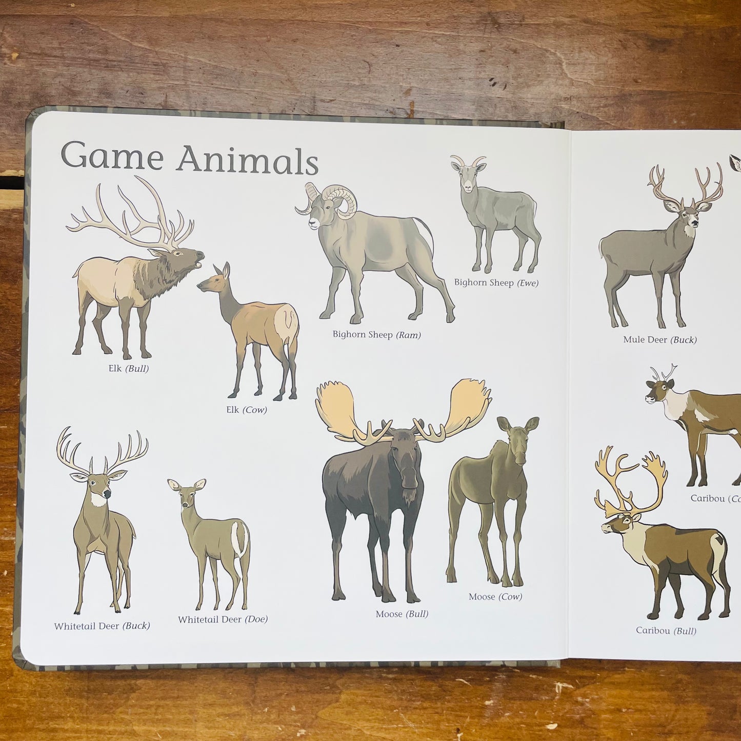 Mossy Oak Edition The Big Book of Hunting