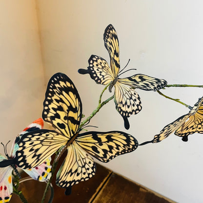 Yellow Swallowtail Butterfly Spray