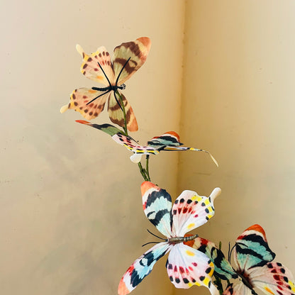 Multicolored Butterfly Spray