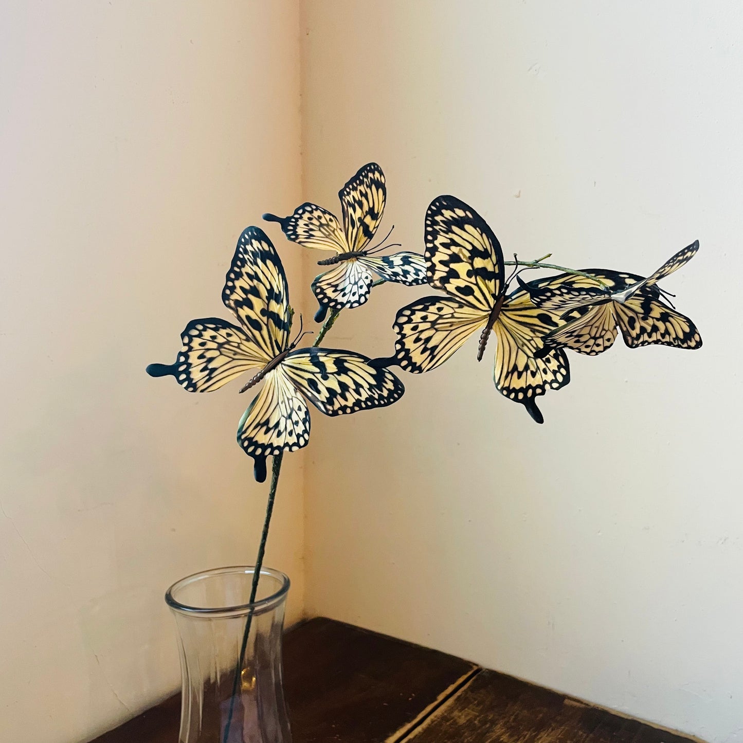 Yellow Swallowtail Butterfly Spray