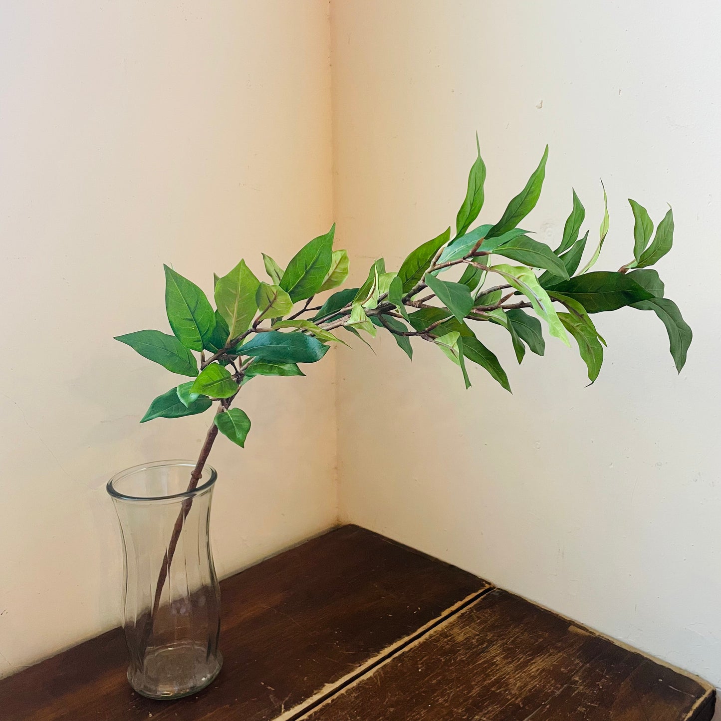 Ligustrum Leaf Spray