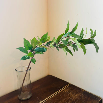 Ligustrum Leaf Spray
