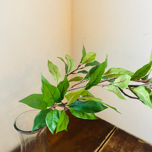 Ligustrum Leaf Spray