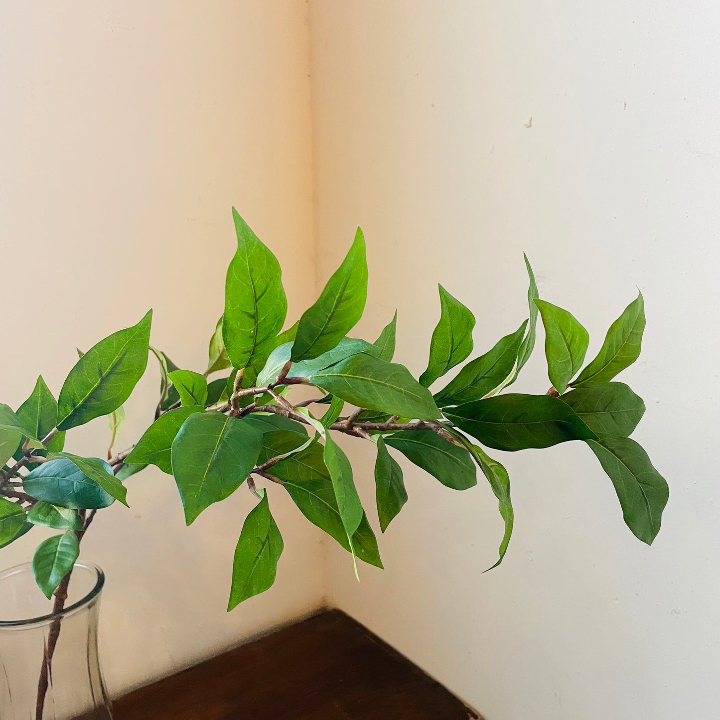 Ligustrum Leaf Spray