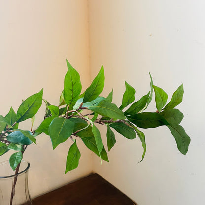 Ligustrum Leaf Spray