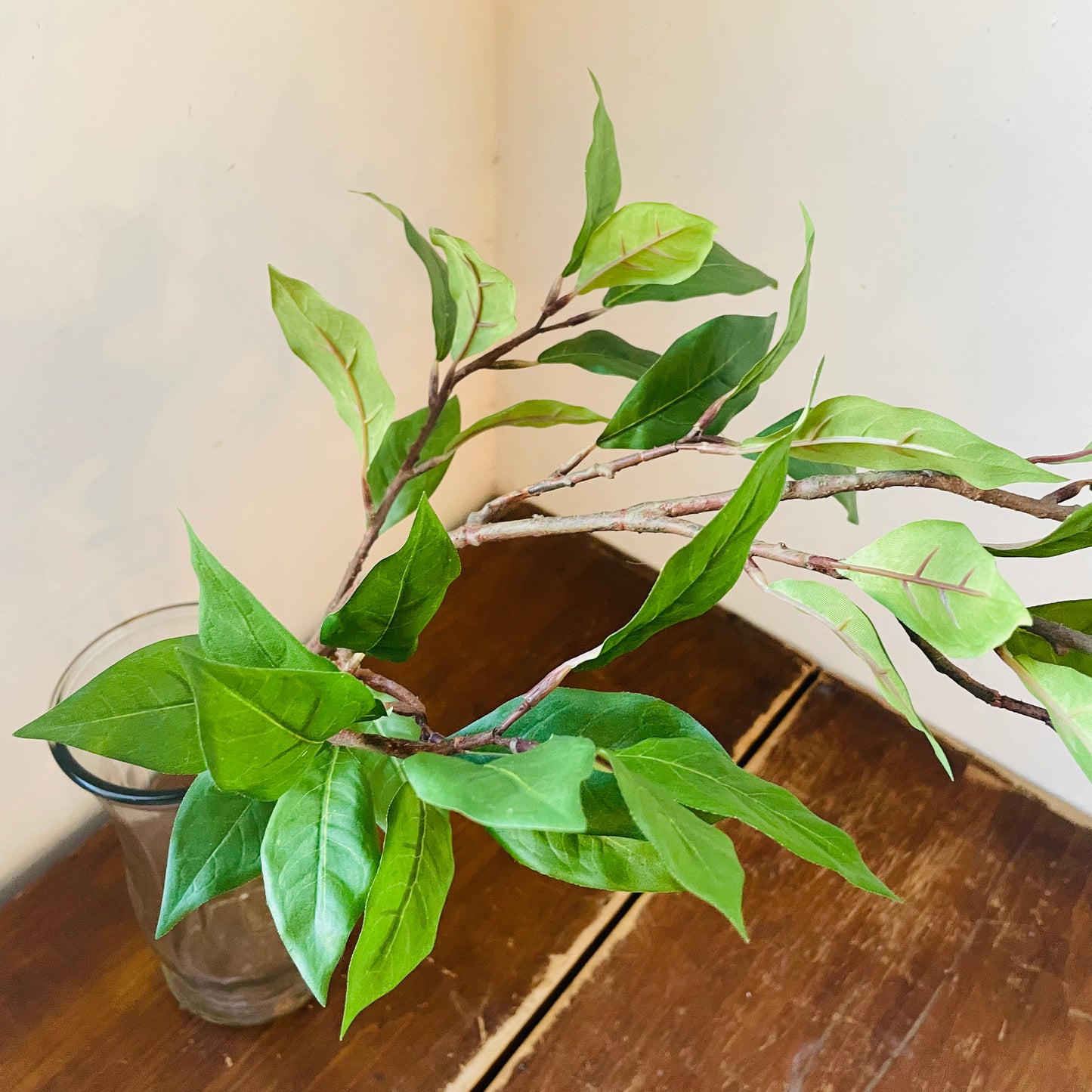 Ligustrum Leaf Spray