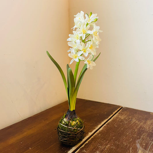 White Hyacinth Drop In