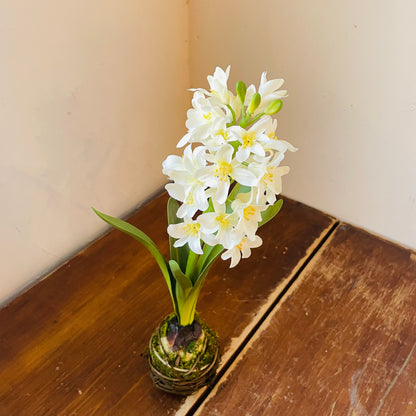 White Hyacinth Drop In