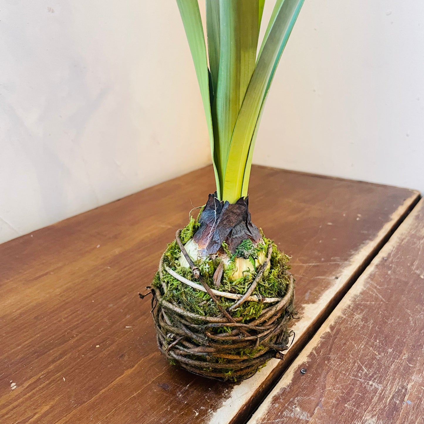 White Hyacinth Drop In