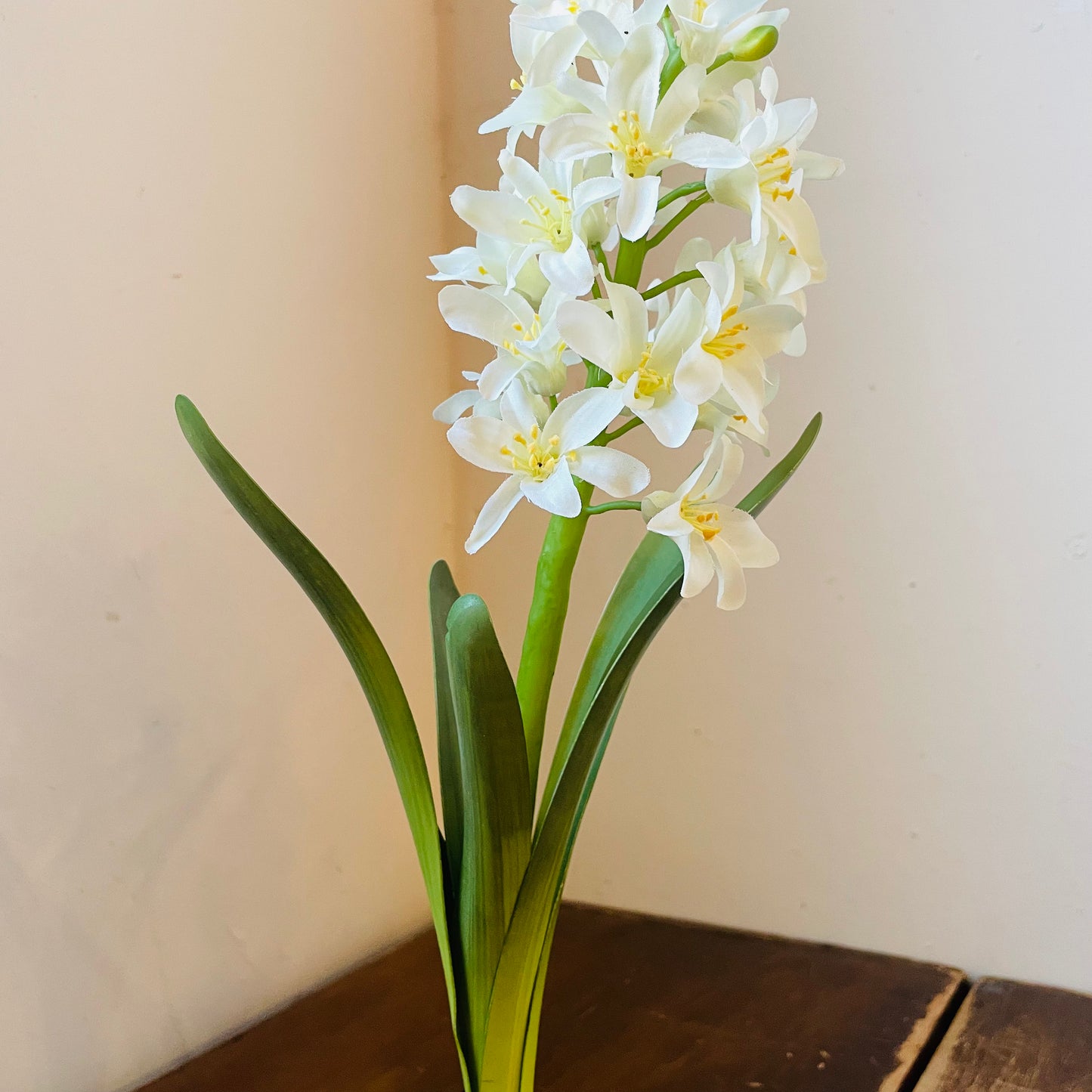 White Hyacinth Drop In