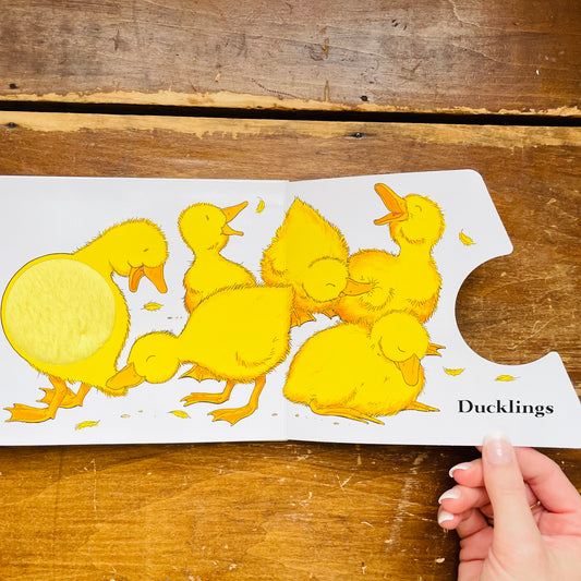 Fuzzy Yellow Ducklings: Fold-Out Fun with Textures, Colors, Shapes & Animals