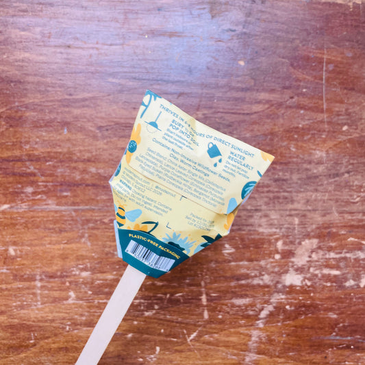 Pollinator Seed Pop: Humble Bee