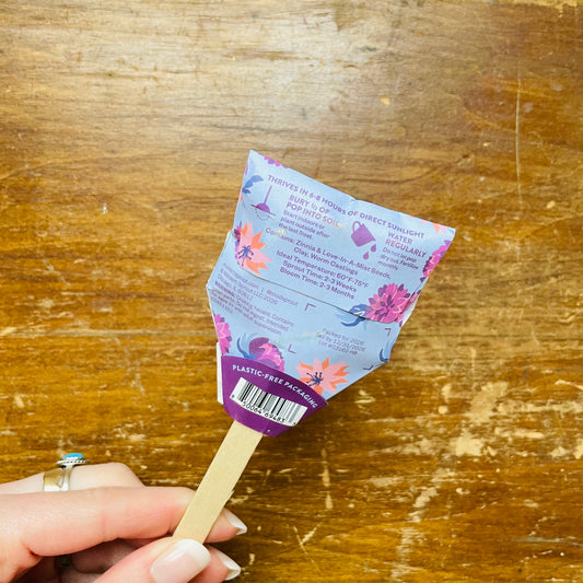 Flower Seed Pop: Hooray Bouquet