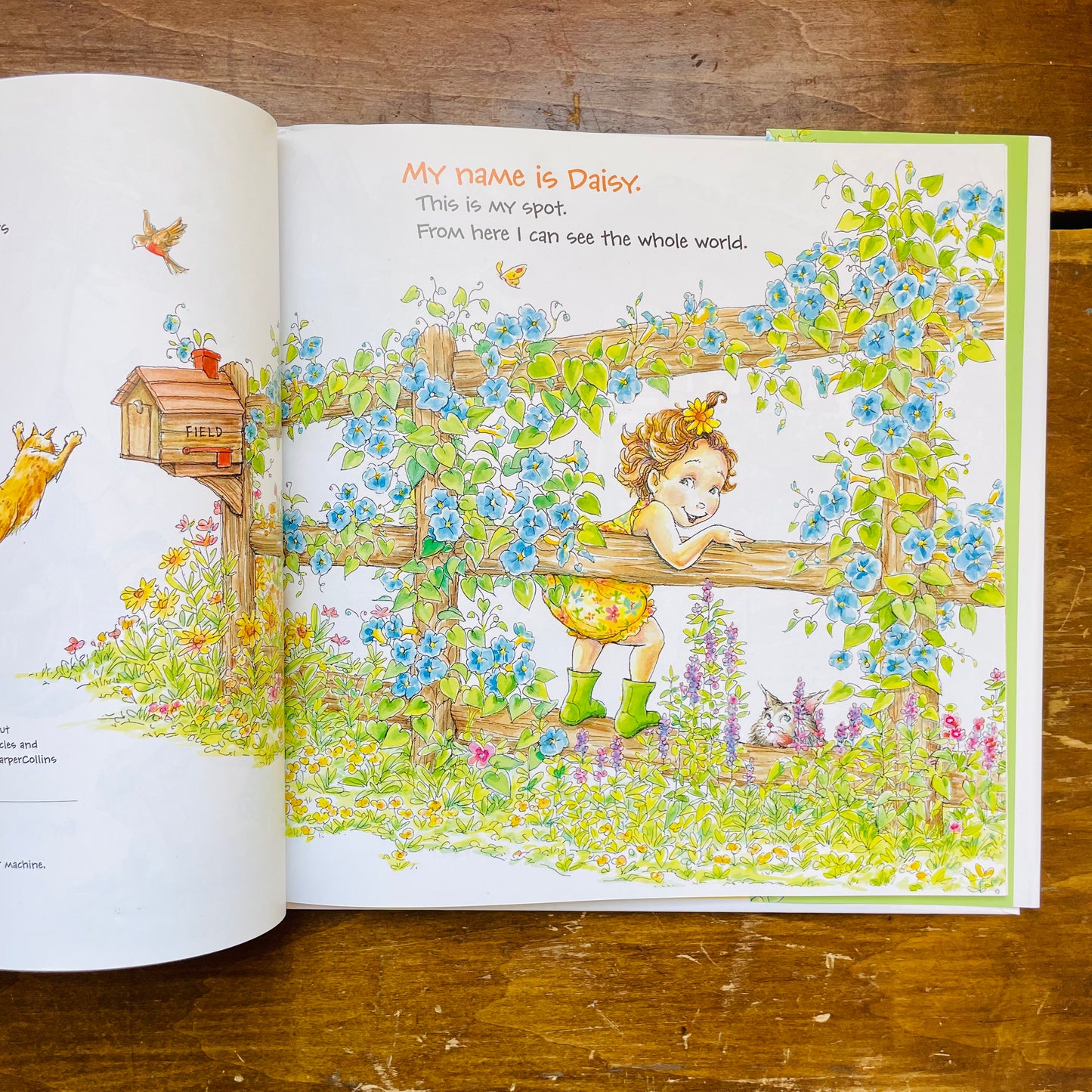 Flower Girls: A Story of Sisters