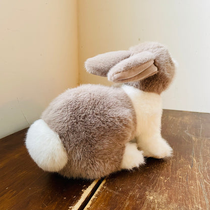 Daffodil the Dutch Bunny