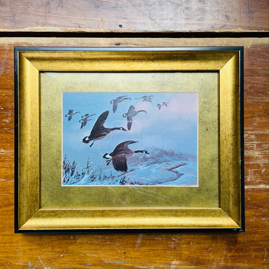 Canada Geese Landing in Snowy Field Framed Print- Vintage