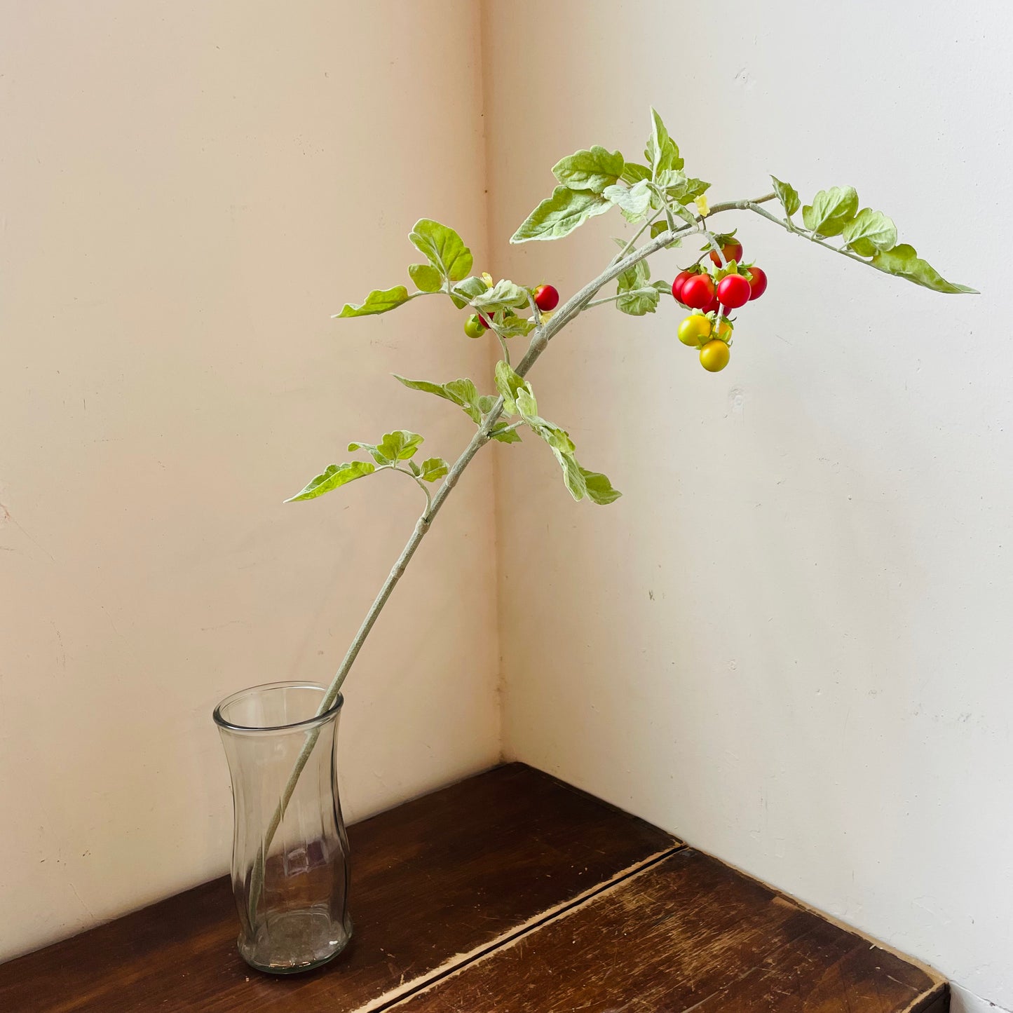 Real Touch Cherry Tomato Spray