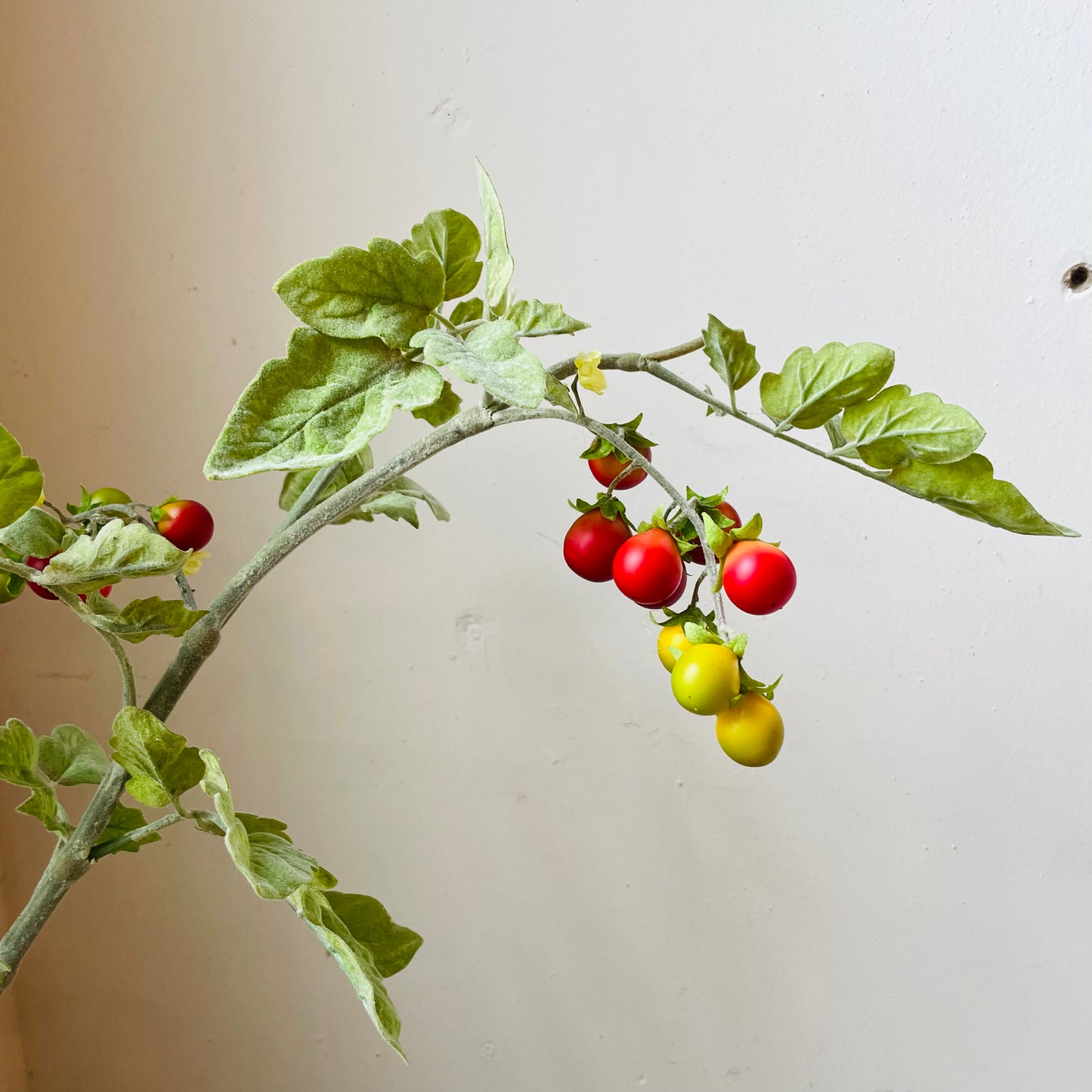 Real Touch Cherry Tomato Spray