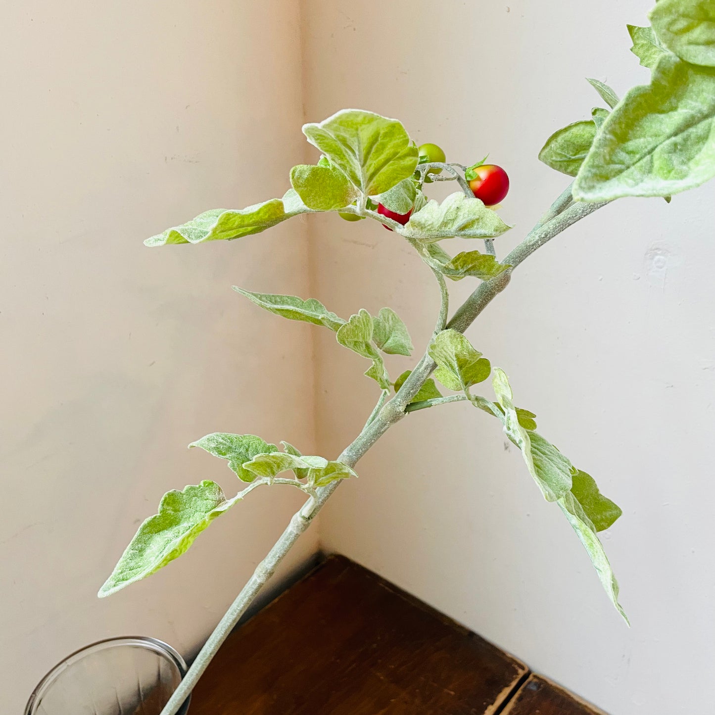 Real Touch Cherry Tomato Spray