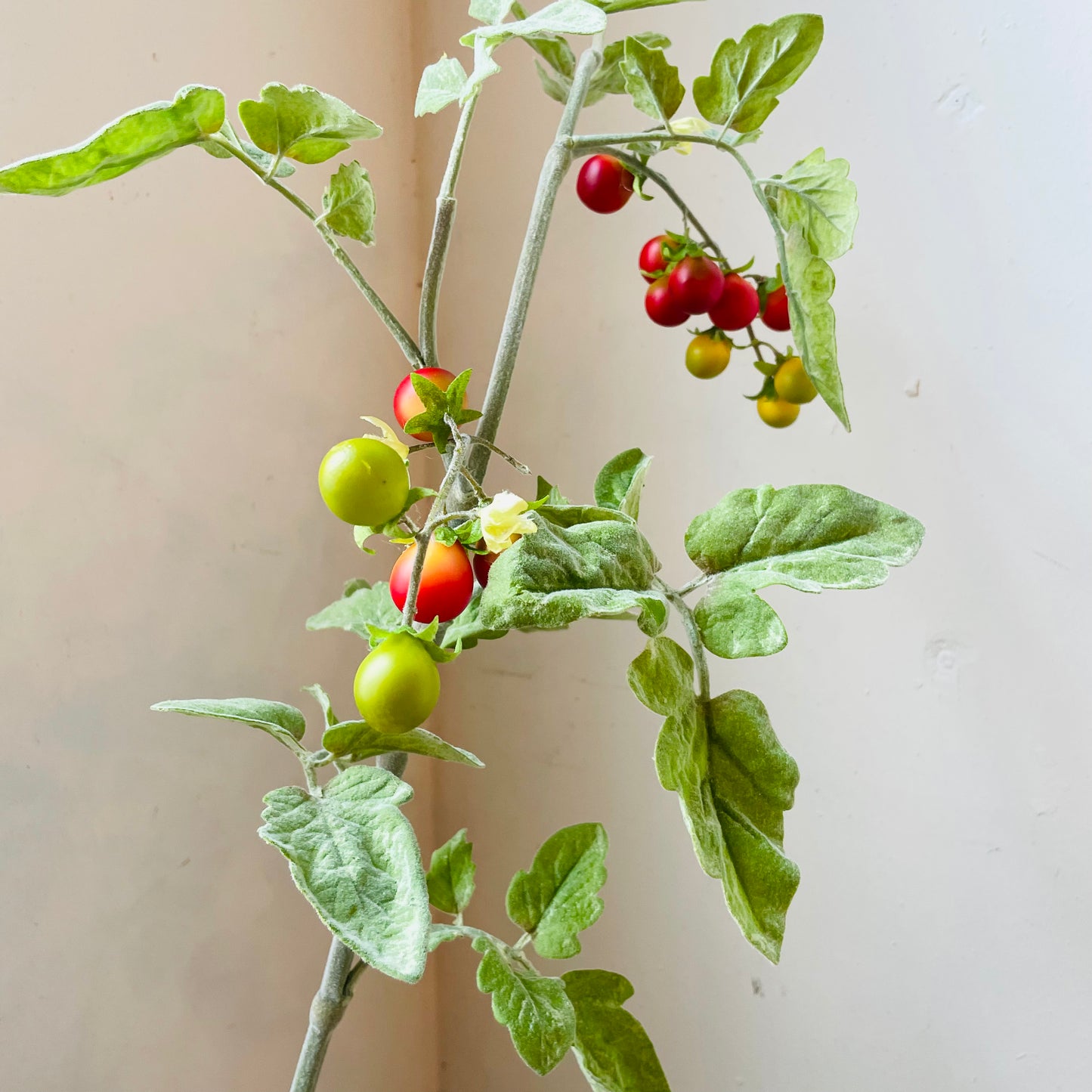 Real Touch Cherry Tomato Spray