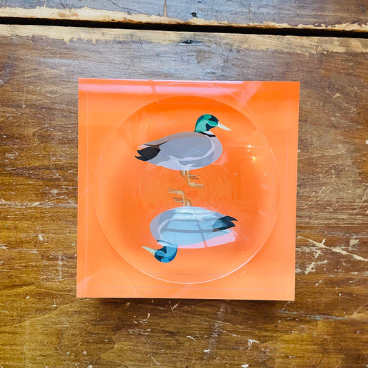 Duck Duck Muscovy Orange Candy Dish