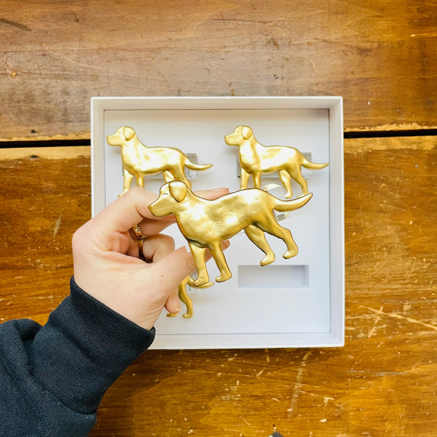 Labrador Clear Napkin Rings