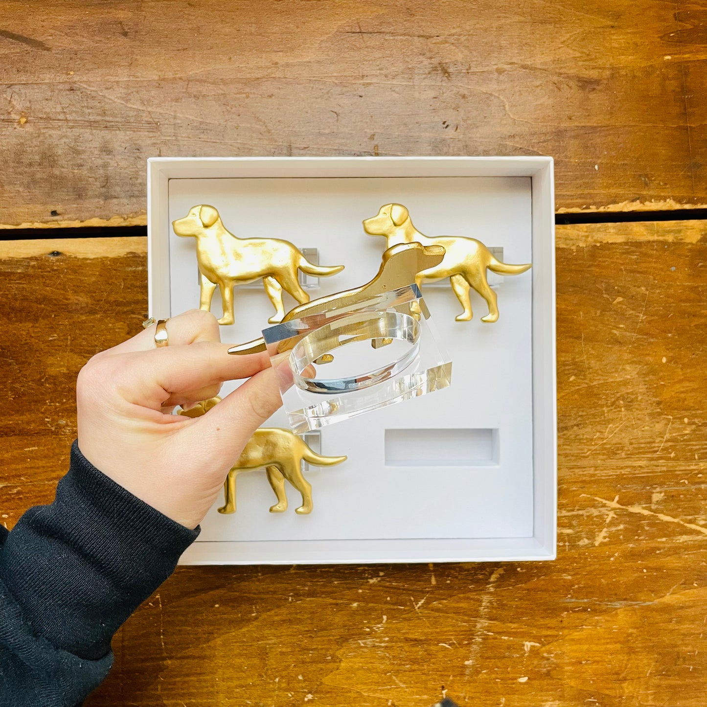 Labrador Clear Napkin Rings